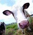 Wie is de Mol ?? Party Day